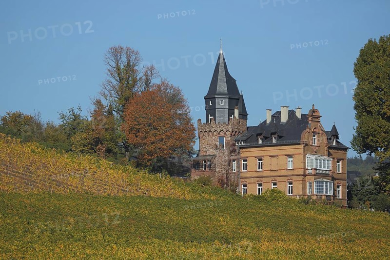 Villa me vine fields