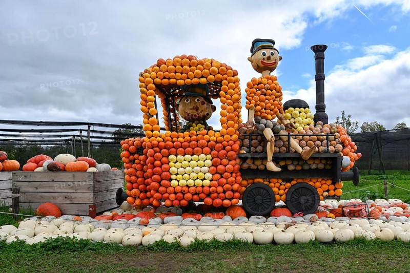 Figure Locomotive Pumpkins