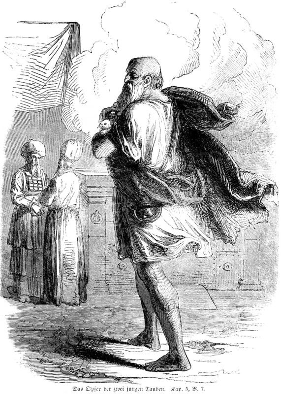 The Sacrifice of the Two Young Doves