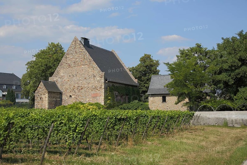Historic Grey House with Vines