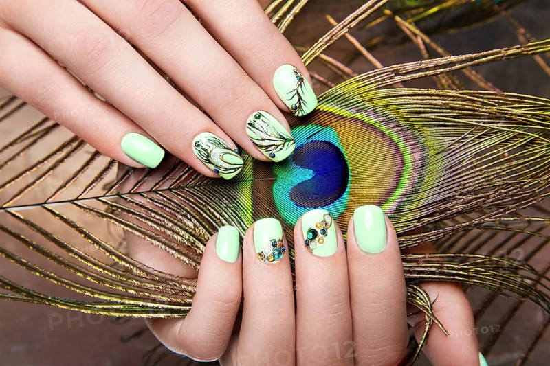 Art design manicure with peacock feather on female hands. Close-up. Fashion nails. Photos shot in studio