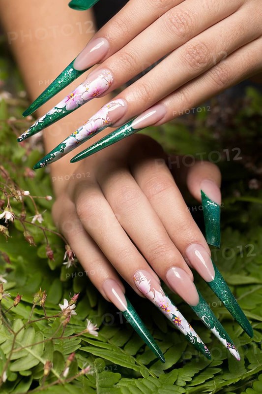Long beautiful manicure with flowers on female fingers. Nails design. Close-up