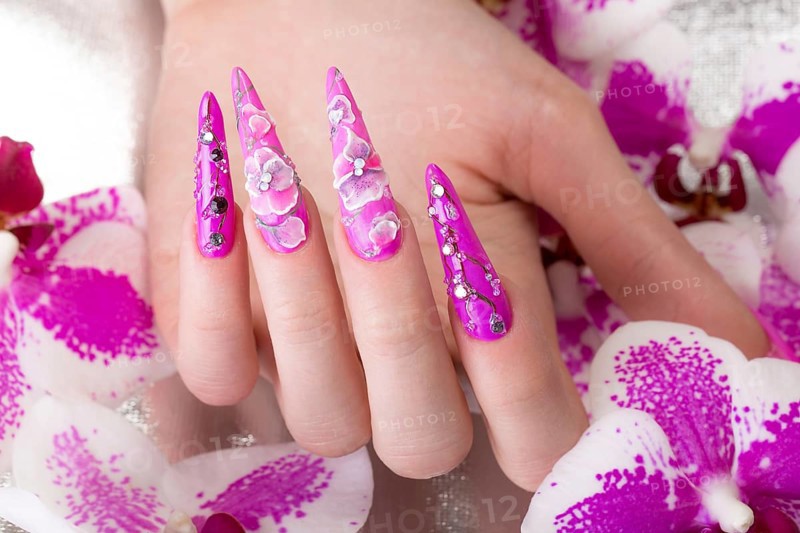 Long beautiful manicure with flowers on female fingers. Nails design. Close-up. Picture taken in the studio on a white background