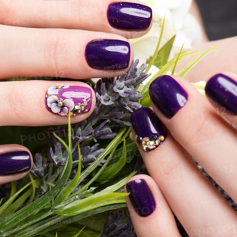 Shot beautiful manicure with flowers on female fingers. Nails design. Close-up. Picture taken in the studio on a white background