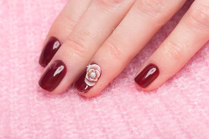 Shot beautiful manicure with flowers on female fingers. Nails design. Close-up. Picture taken in the studio on a white background