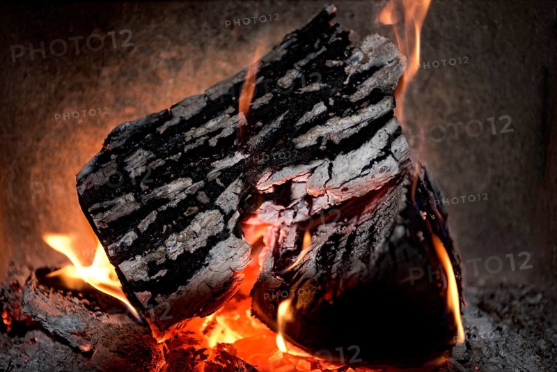 Burning log in the fireplace