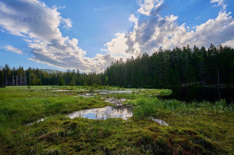 Fichtelsee