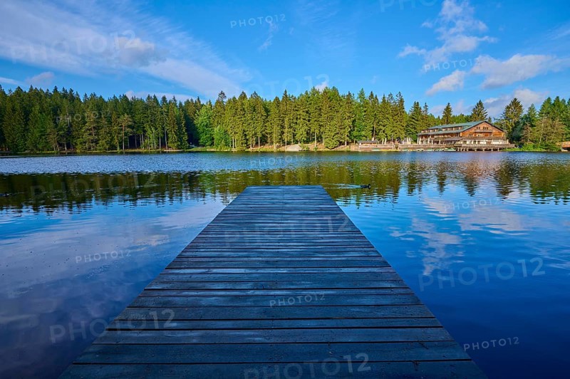 Wooden footbridge