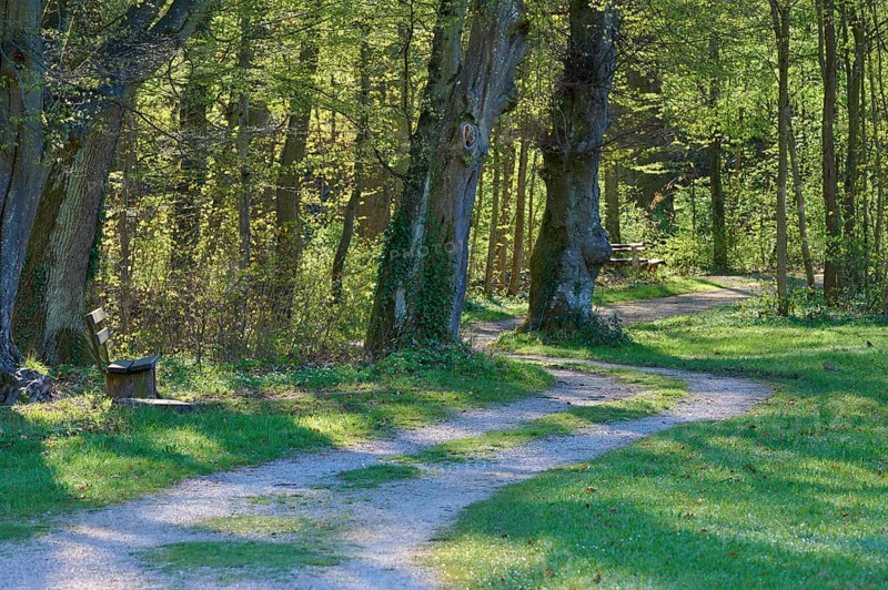 Path