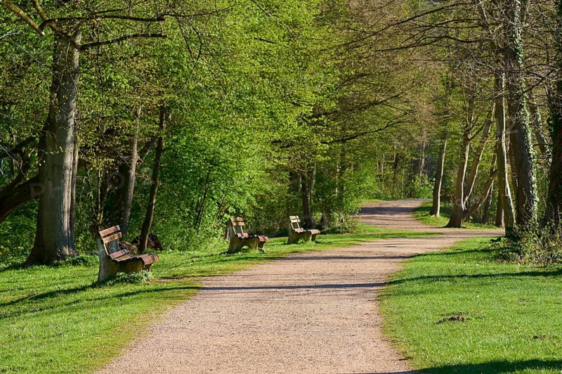 Path