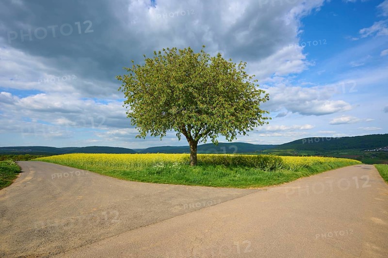 Fork in the road