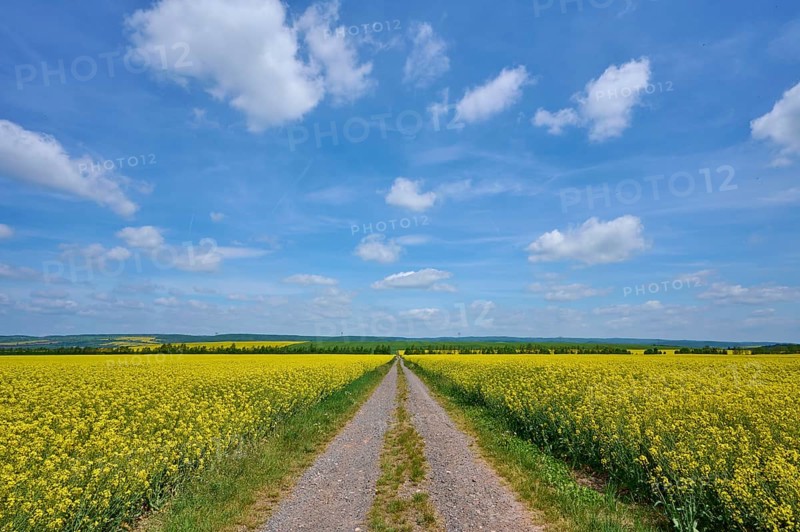 Gravel path