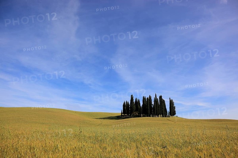 Landscape in Tuscany