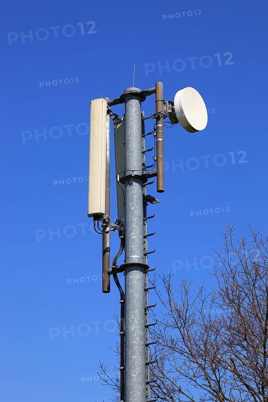 Transmission mast with directional radio antenna and antennas for mobile phone reception