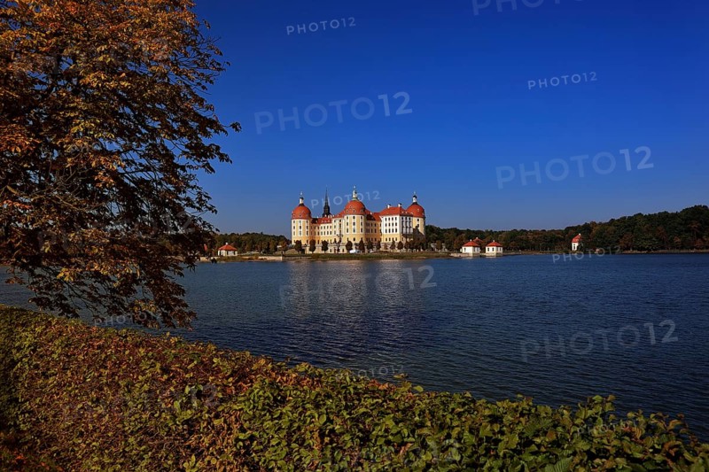 Moritzburg Castle