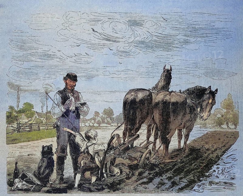 First attempt of the farmer's boy to plough the field with the horse and cart and the plough