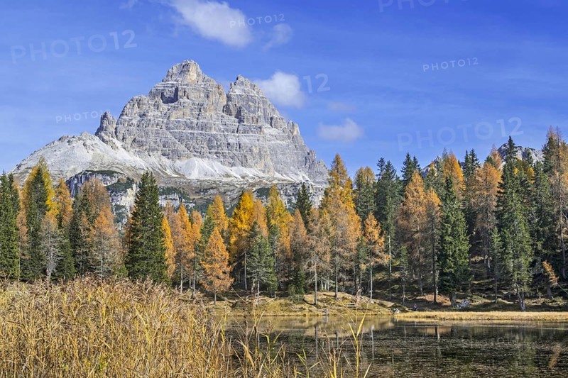 Mountain Drei Zinnen and larch trees in autumn colours around Lake Lago d'Antorno in the Tre Cime Natural Park