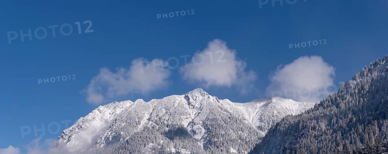 Rubihorn