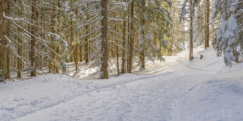 Hiking trail near Soellereck