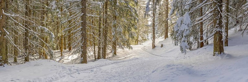 Hiking trail near Soellereck