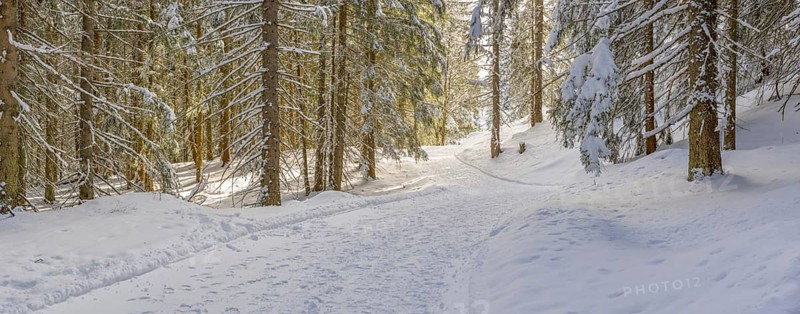 Hiking trail near Soellereck