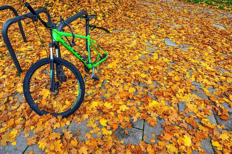 Bicycle theft