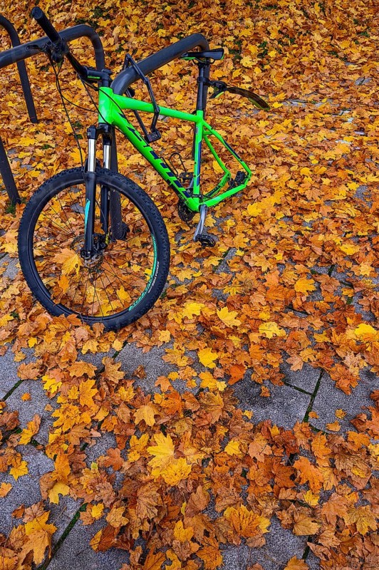 Bicycle theft