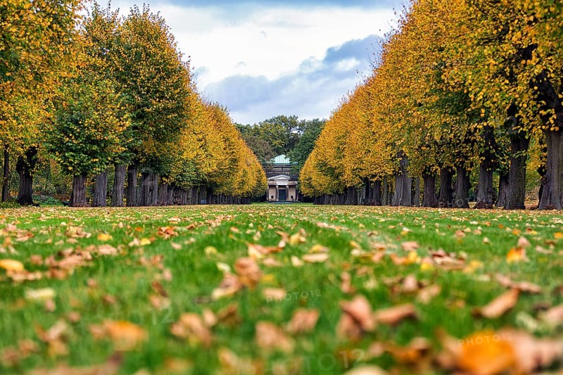 Autumn leaves in a meadow in front of the Guelph Mausoleum