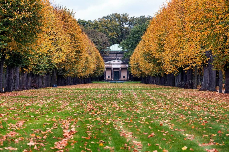 Autumn leaves in a meadow in front of the Guelph Mausoleum