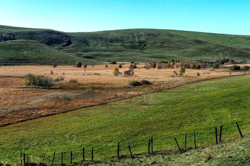 Bog landscape with dry bog grass
