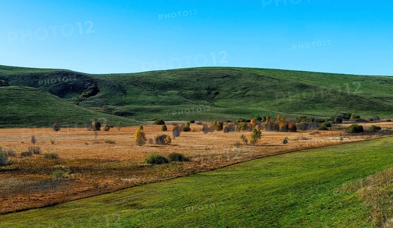 Bog landscape with dry bog grass