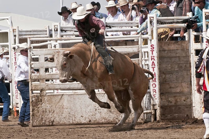 Cowboy bull riding