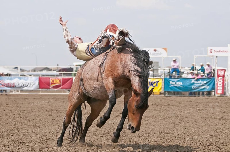 Cowboy