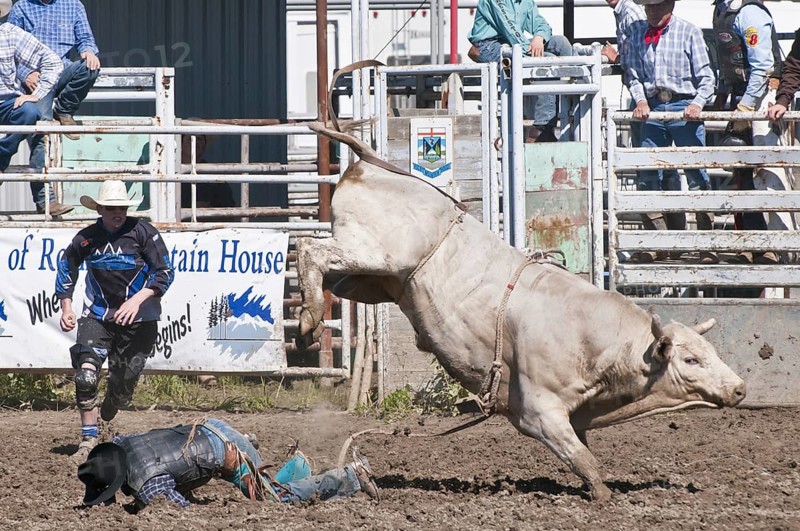 Cowboy thrown while bull riding