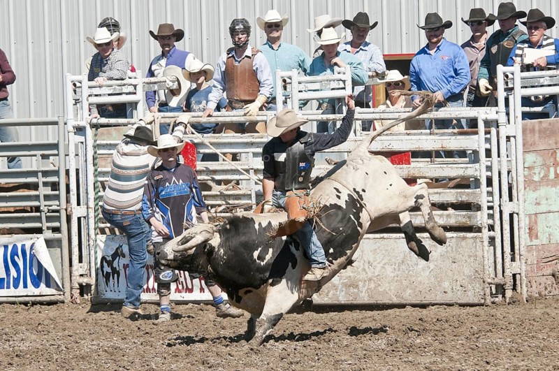 Cowboy bull riding