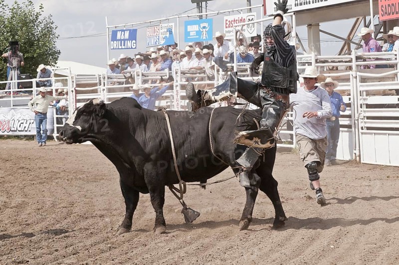 Cowboy being thrown while bull riding