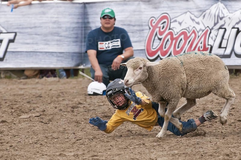Mutton busting event