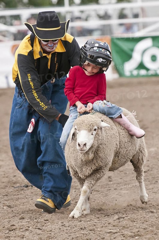Mutton busting event