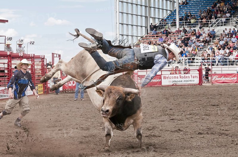Cowboy bull riding