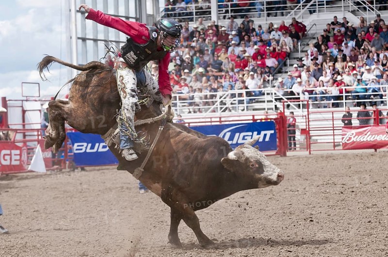 Cowboy being thrown