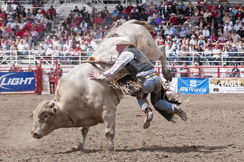 Cowboy being thrown