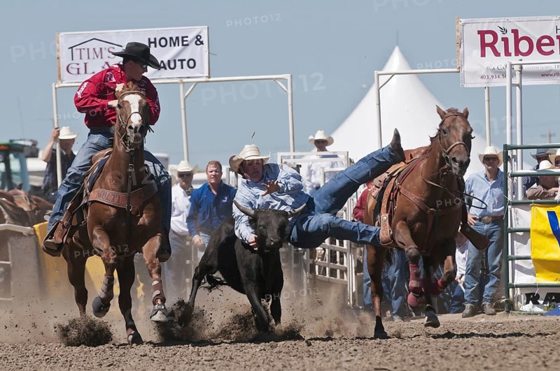 Team steer wrestling