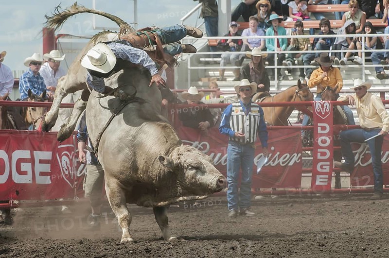 Cowboy being thrown