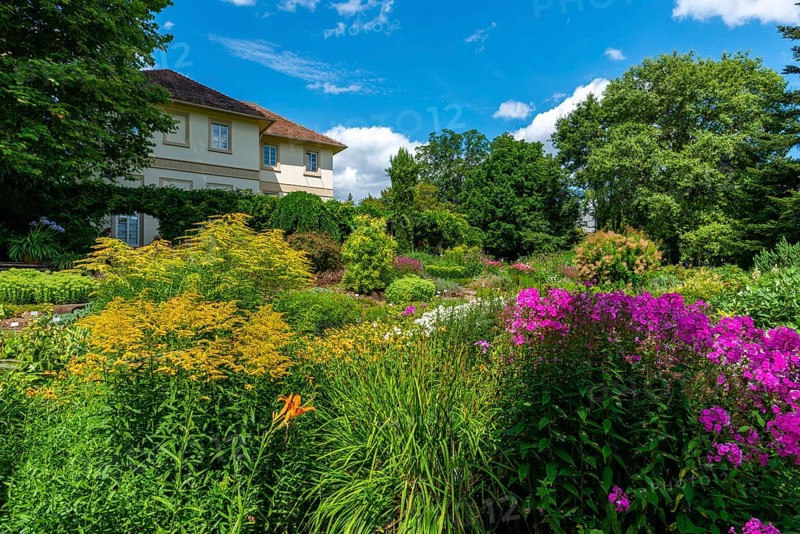State Arboretum Exotic Garden