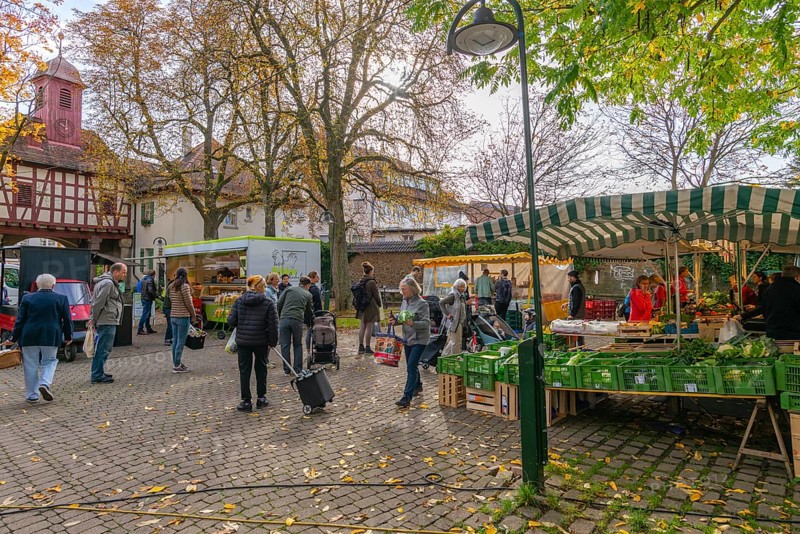 Stuttgart-Moehringen