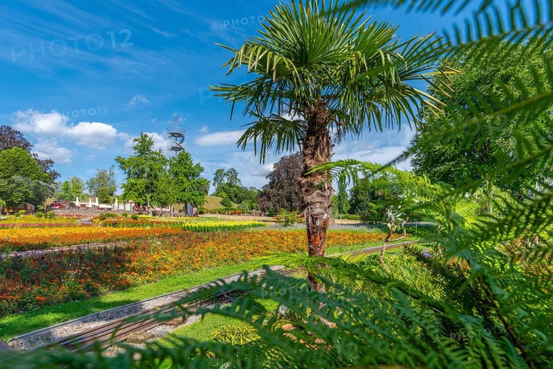 Hoehenpark Killesberg