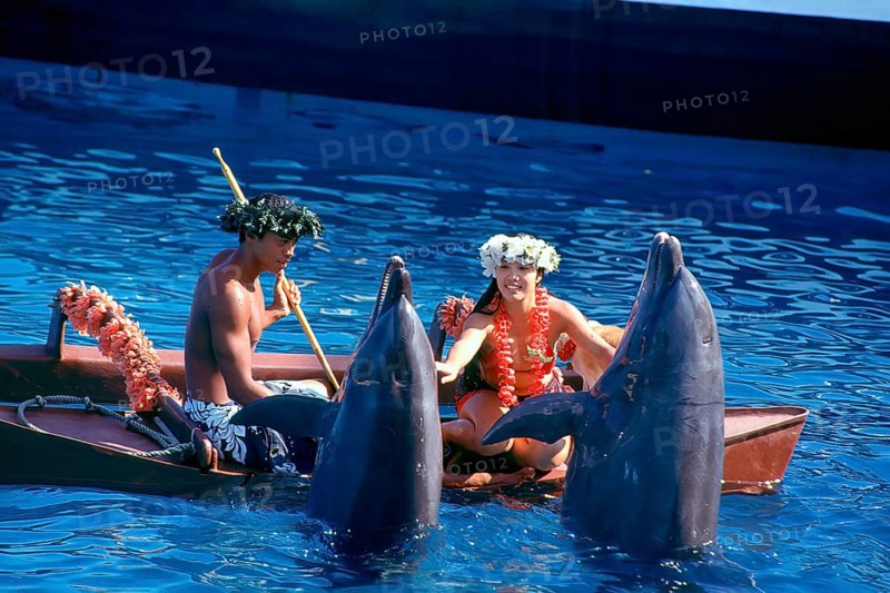 Hawaiian show at Sealife Park with dolphins