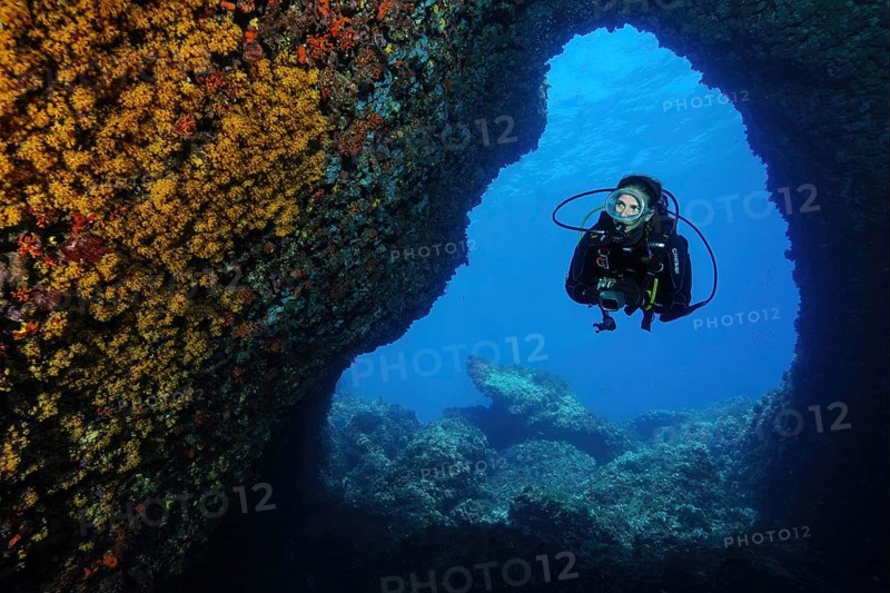 Diver Sports diver swims dives in cave Underwater cave illuminated yellow cluster anemones