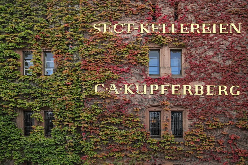 House wall with red vines at the Sect-Kellereien C-A Kupferberg