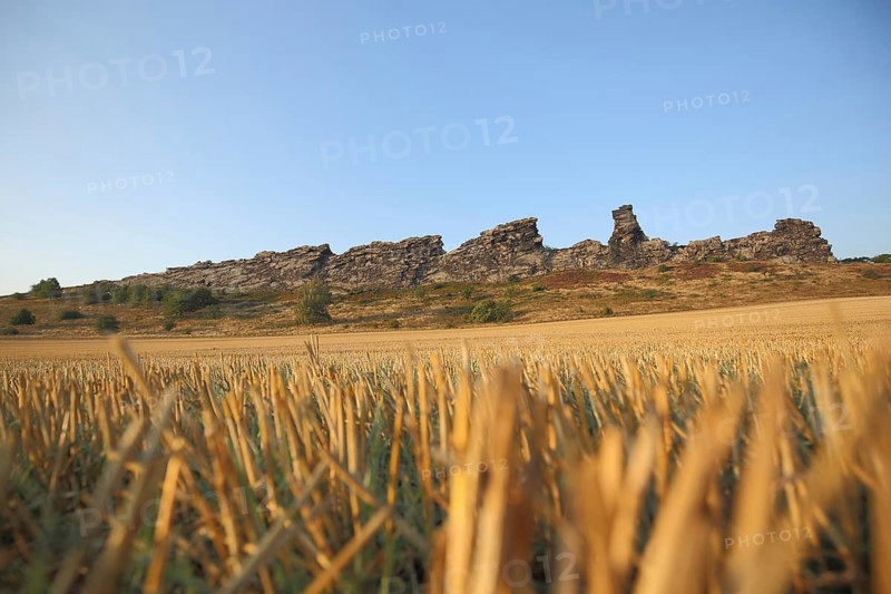 View of Teufelsmauer with Adlerfelsen and Koenigstein